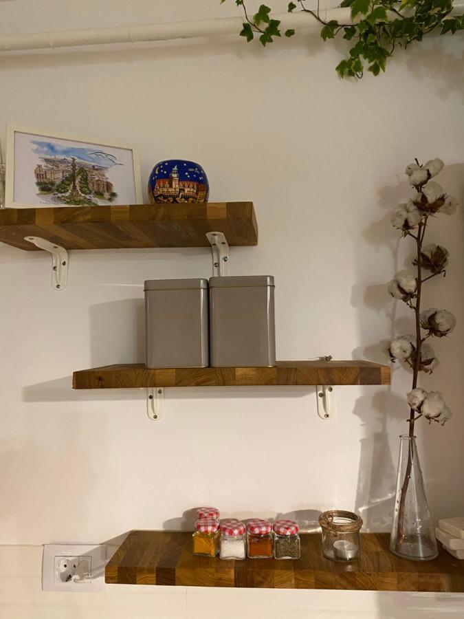 Helga'S Place Premium 1 Bedroom Condo Cluj-Napoca Eksteriør bilde